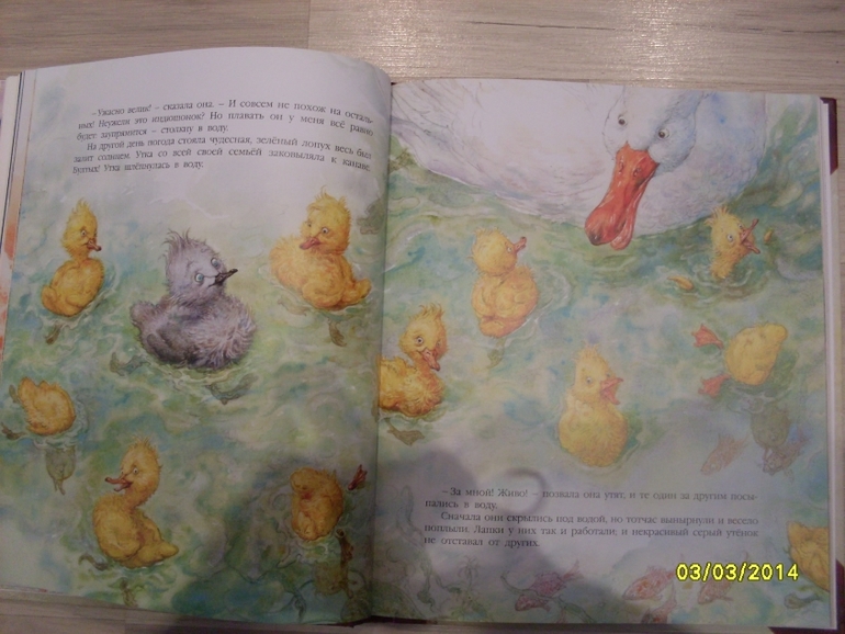 Фото книги и  рыбалки