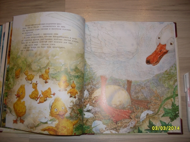 Фото книги и  рыбалки