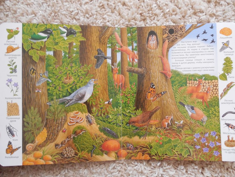 Отличная серия картонных книг для развития деток со скидкой))