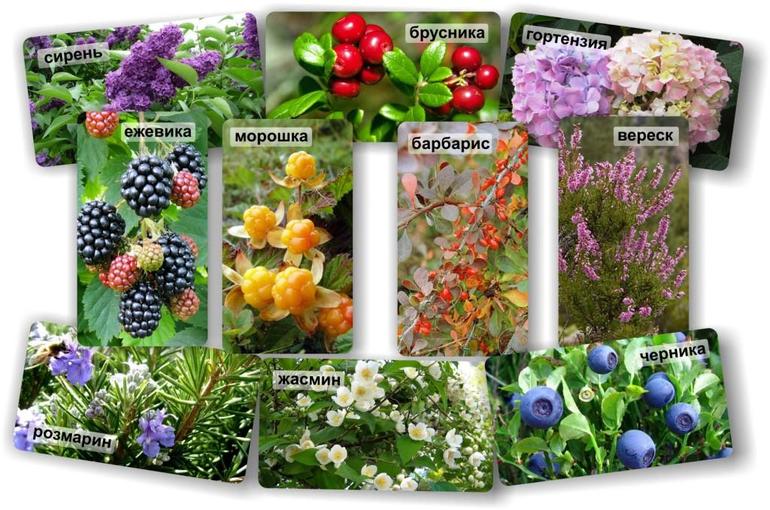 Материалы проекта "Летняя игралочка"