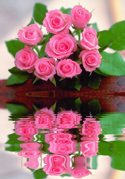 5982aebd4d8358a1d5da59d854106d53.gif