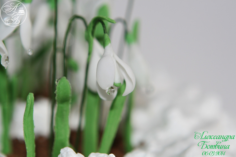 Весна пришла!!!