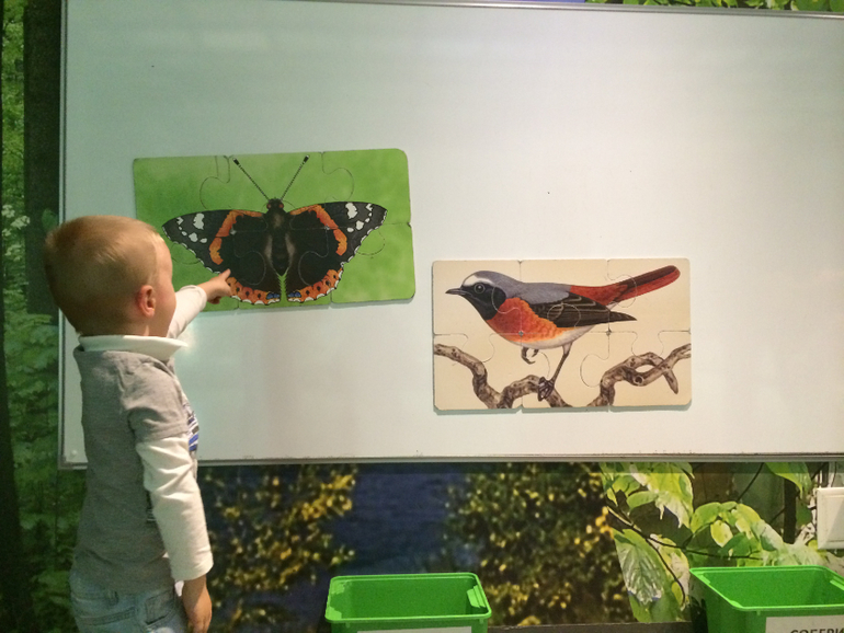 Поход в музей Дарвина