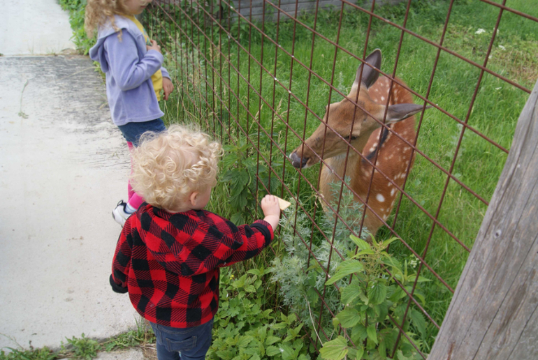 Мини-зоопарк Горки