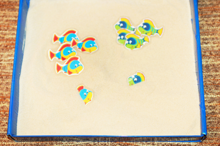 Морская коробочка в детский сад