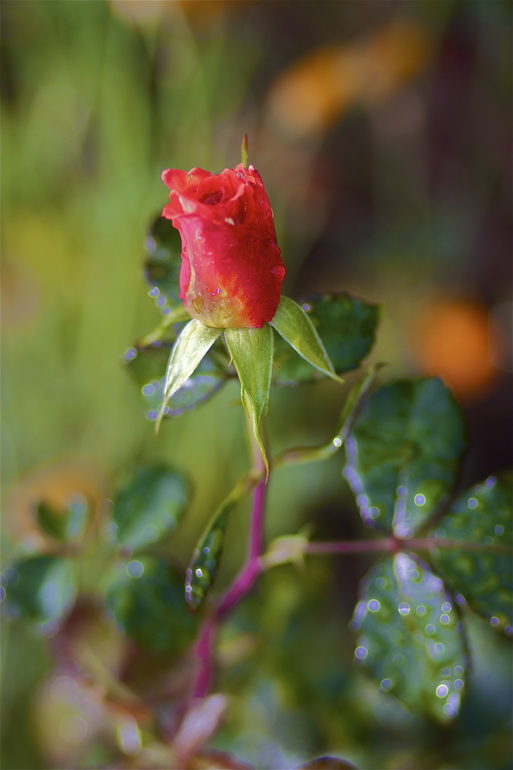 1f42b82dbace57176945ed89cc37af21.jpg
