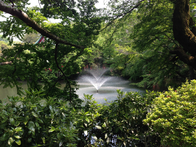 Inokashira Park...