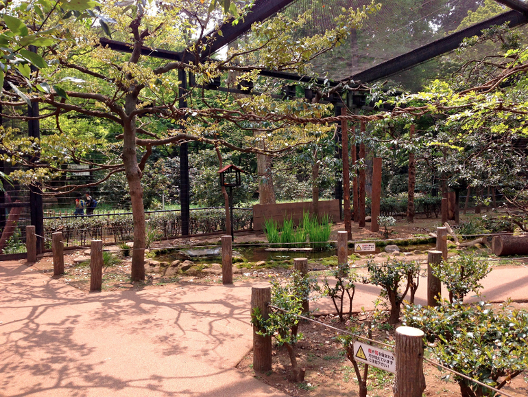 Inokashira Park...