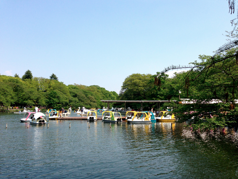 Inokashira Park...