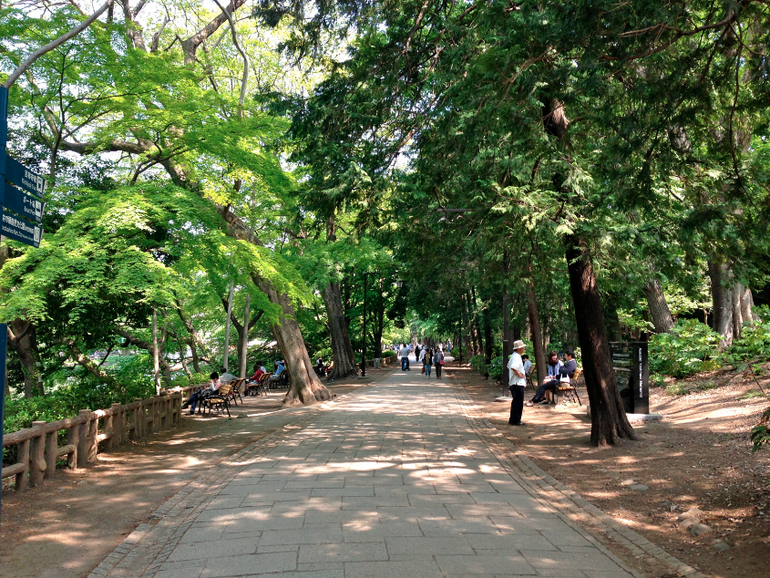 Inokashira Park...