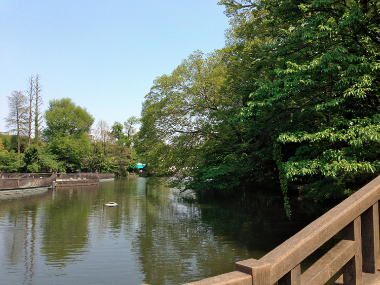 Inokashira Park...