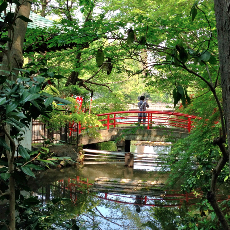 Inokashira Park...