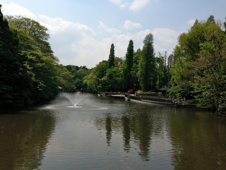 Inokashira Park...