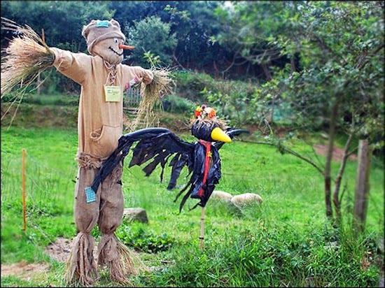 Планы на лето...