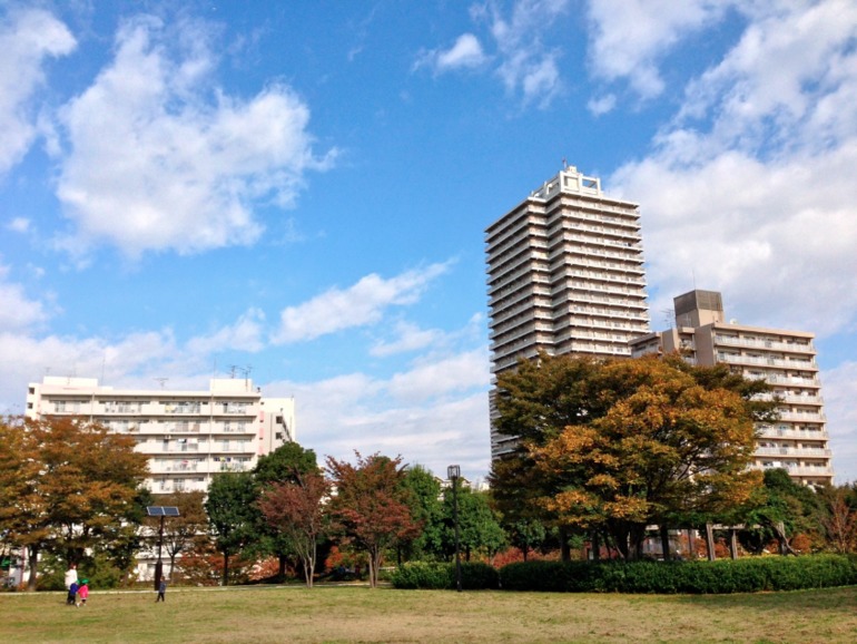 Осень. Парк №1