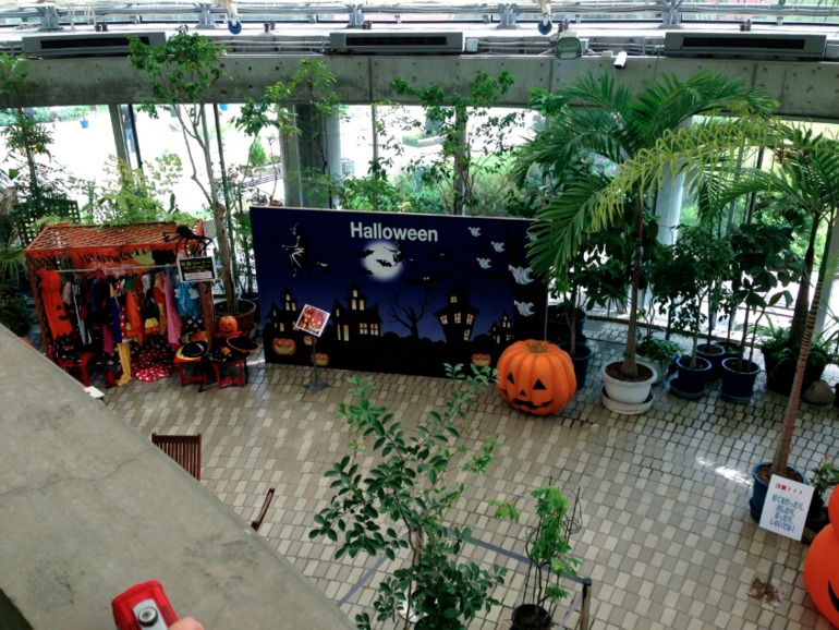 Happy Halloween!