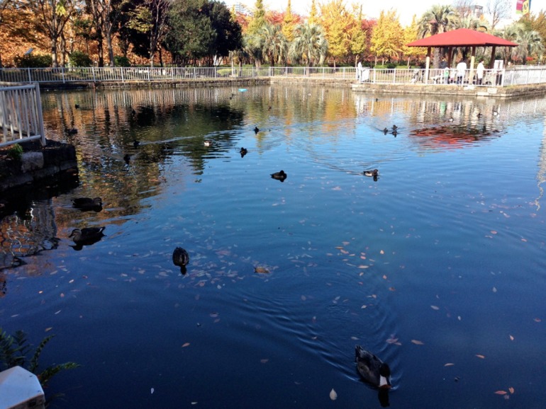 Осень. Парк №3