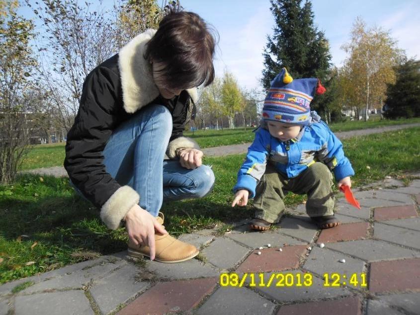 Смотри!! Жук!!