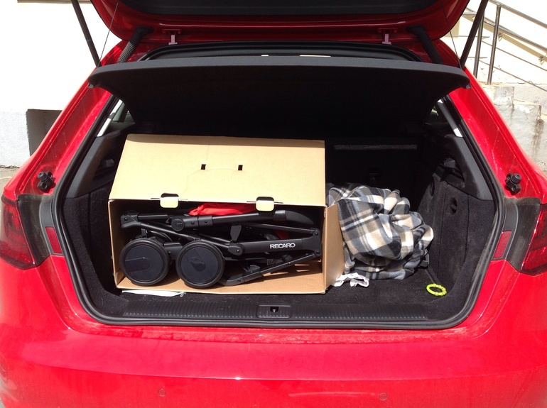 Аленький цветочек RECARO Easylife