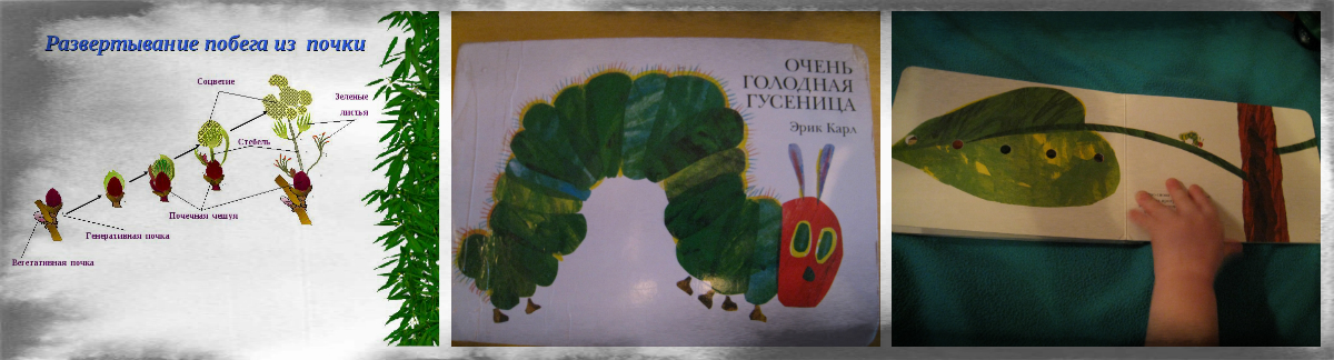 ТН Весна. Деревья весной.