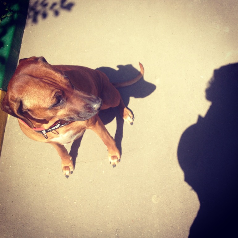 Привет, ПДР!