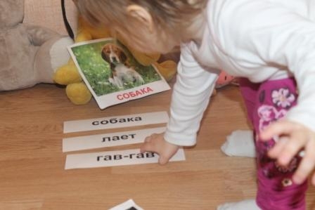 Развиваем мелкую моторику, изучая домашних животных