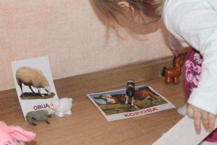 Развиваем мелкую моторику, изучая домашних животных