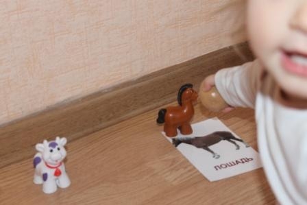 Развиваем мелкую моторику, изучая домашних животных