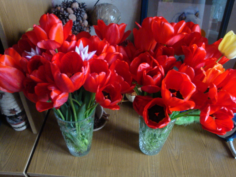 Праздничная прогулка