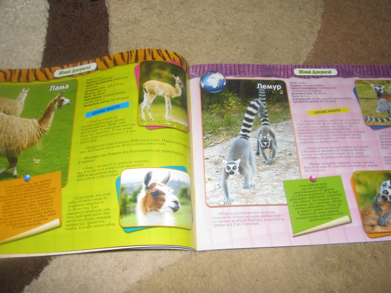 Развивашки для 2-2,5 лет.часть 1.