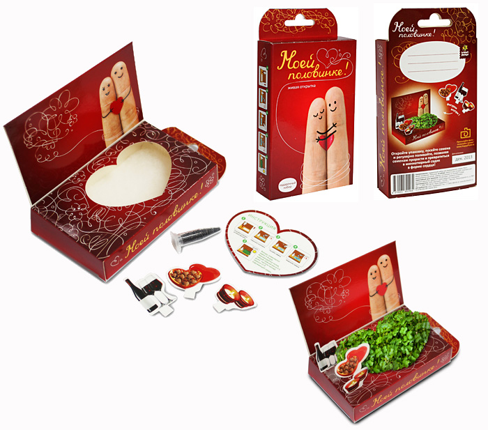 Живые открытки