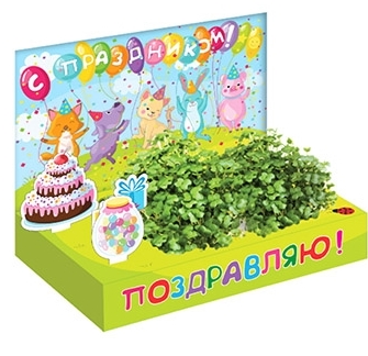 Живые открытки