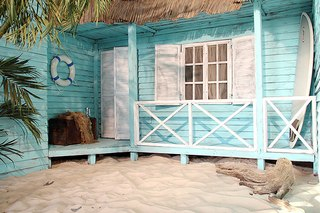 Мои недельки и настроения: 39 и 3