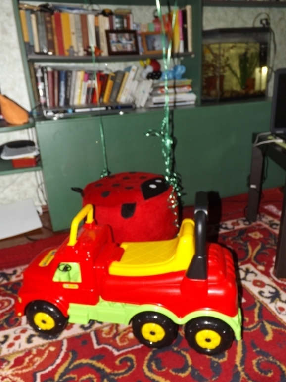 ГодоВасие на васильковой полянке в компании с божьими коровками