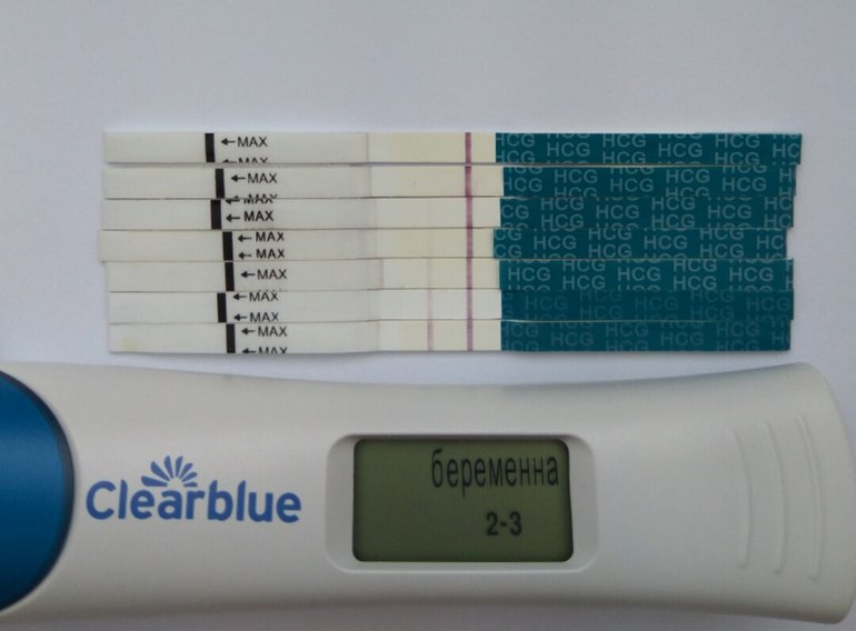 Тест после 2 недель зачатия