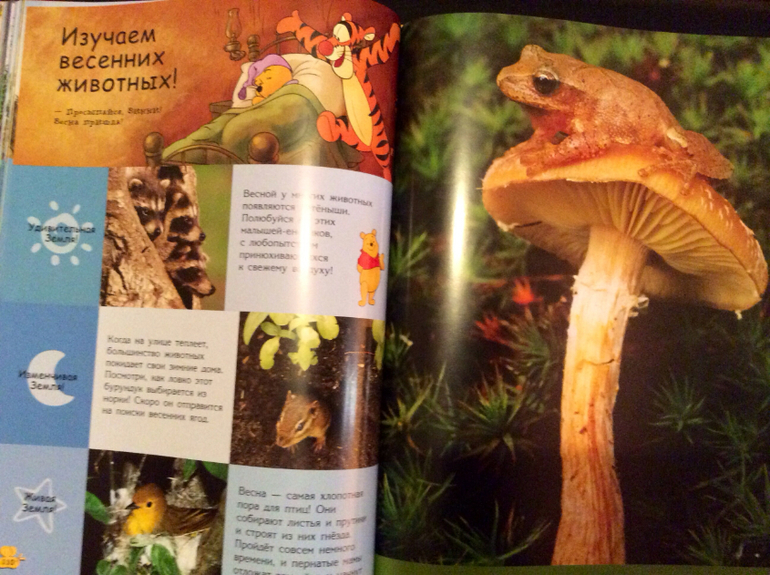 Первые энциклопедии