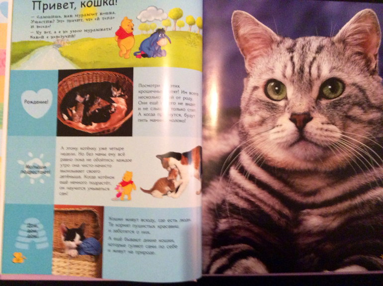 Первые энциклопедии