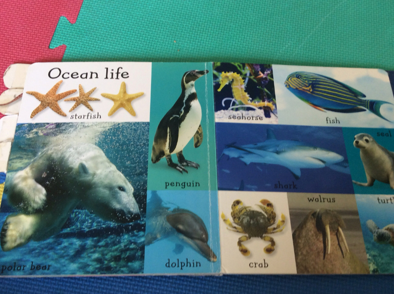 Наши самые первые книжки