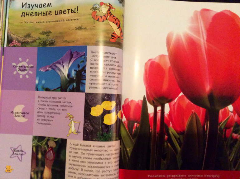 Первые энциклопедии