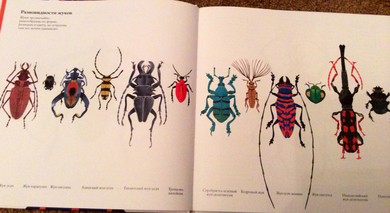 Интересные факты о животных