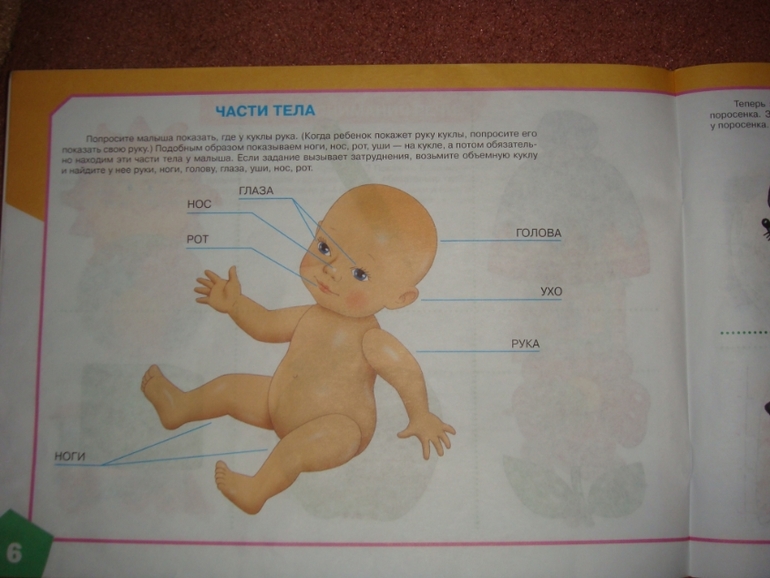 Альбом по развитию речи!