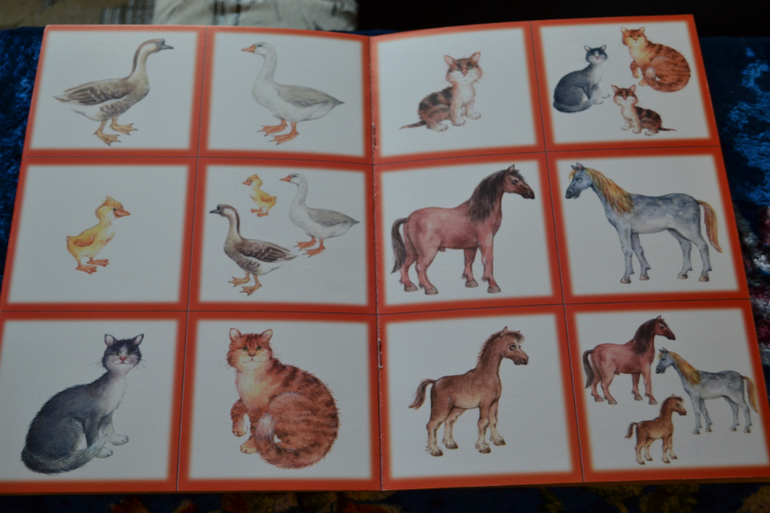 Карточки для ТЗ и ТН.