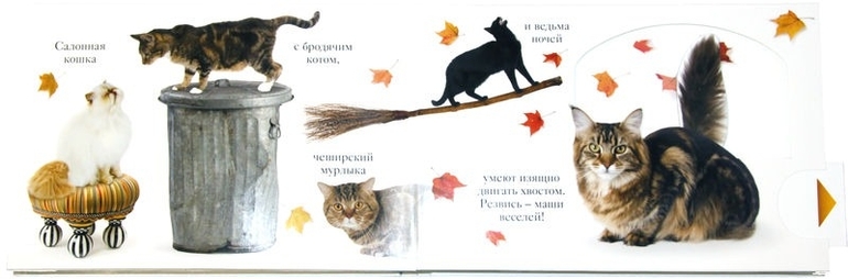 Книга с рычажками и тактильными вставками. МЯУ!