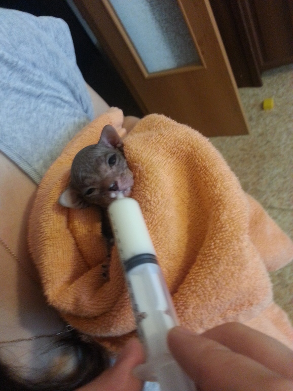 малышам 2недели.