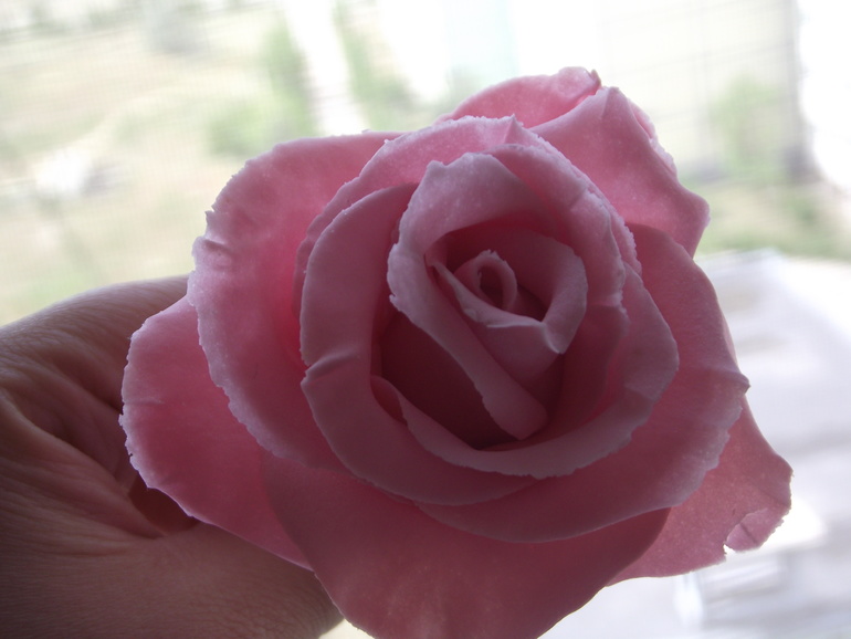 Моя пародия на