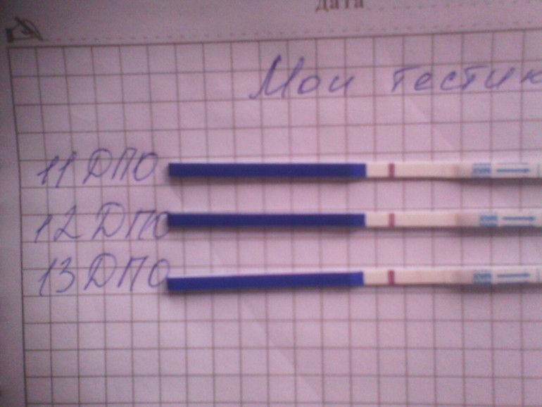 Переживаю...Подскажите...