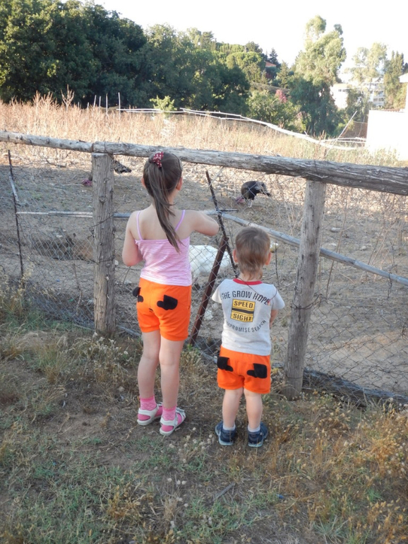 21/06/2014 - суббота. День 10.