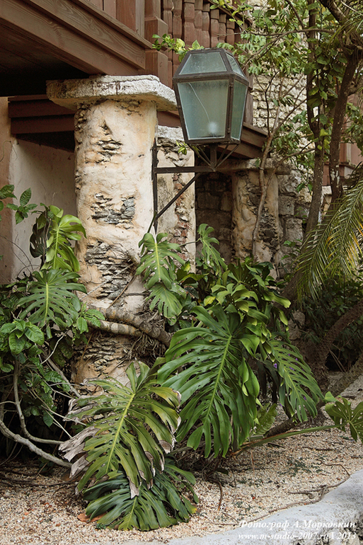 Альтос де Чавон