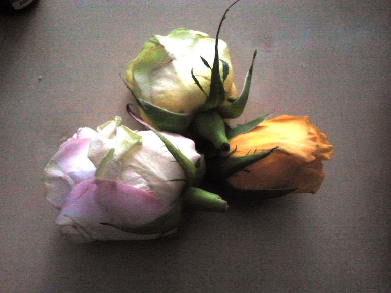 Записочки Матронушке 25.06