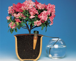 Блюмат (Blumat) или Блюматы